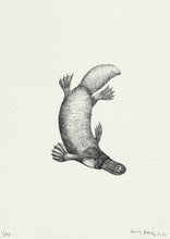 Load image into Gallery viewer, Platypus Print
