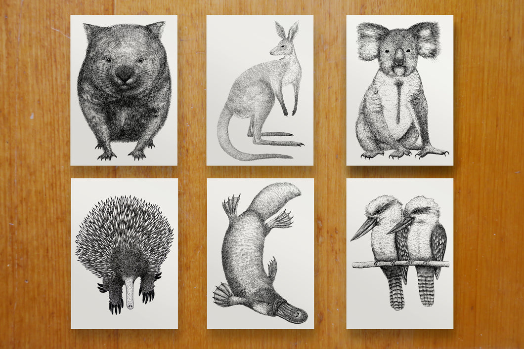 Australian Wildlife Postcard Pack