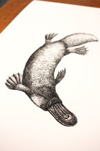 Load image into Gallery viewer, Platypus Print
