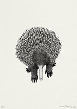 Load image into Gallery viewer, Echidna Print
