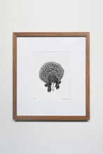 Load image into Gallery viewer, Echidna Print
